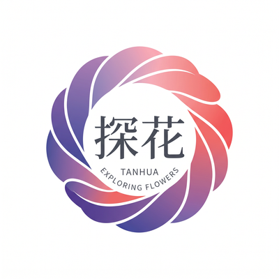 户外视频